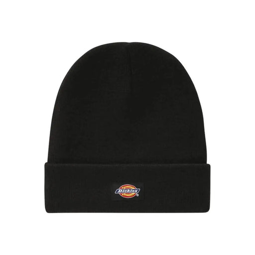 Dickies beanie for men in black with folded cuff and embroidered logo, front view