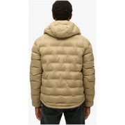 Beige quilted puffer jacket with hood for men made of polyester by Superdry model M5012045A